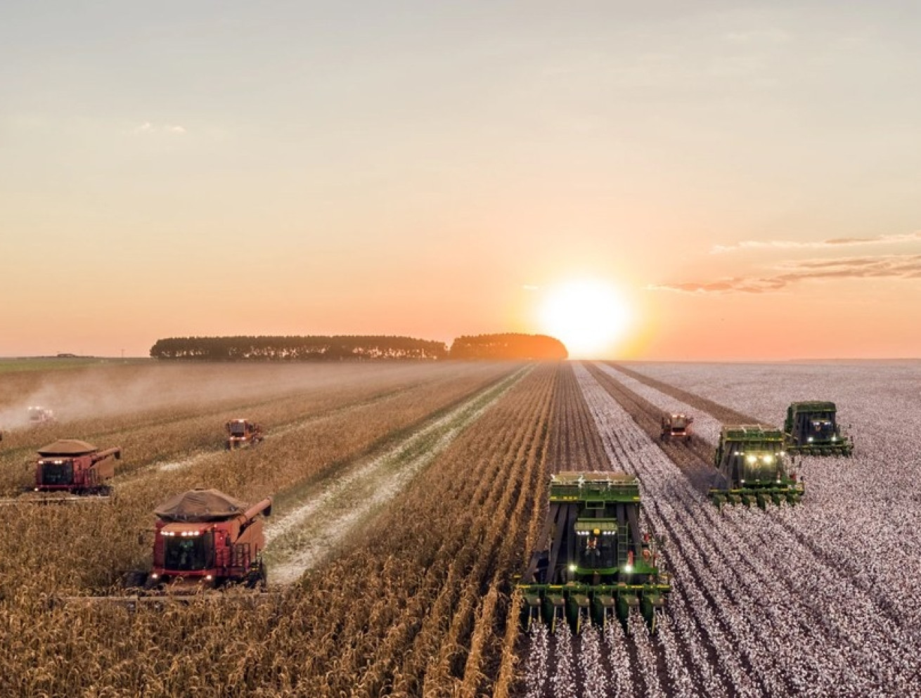 Цифрова трансформація агро: як Україна випереджає світ, - ifarming.ua 